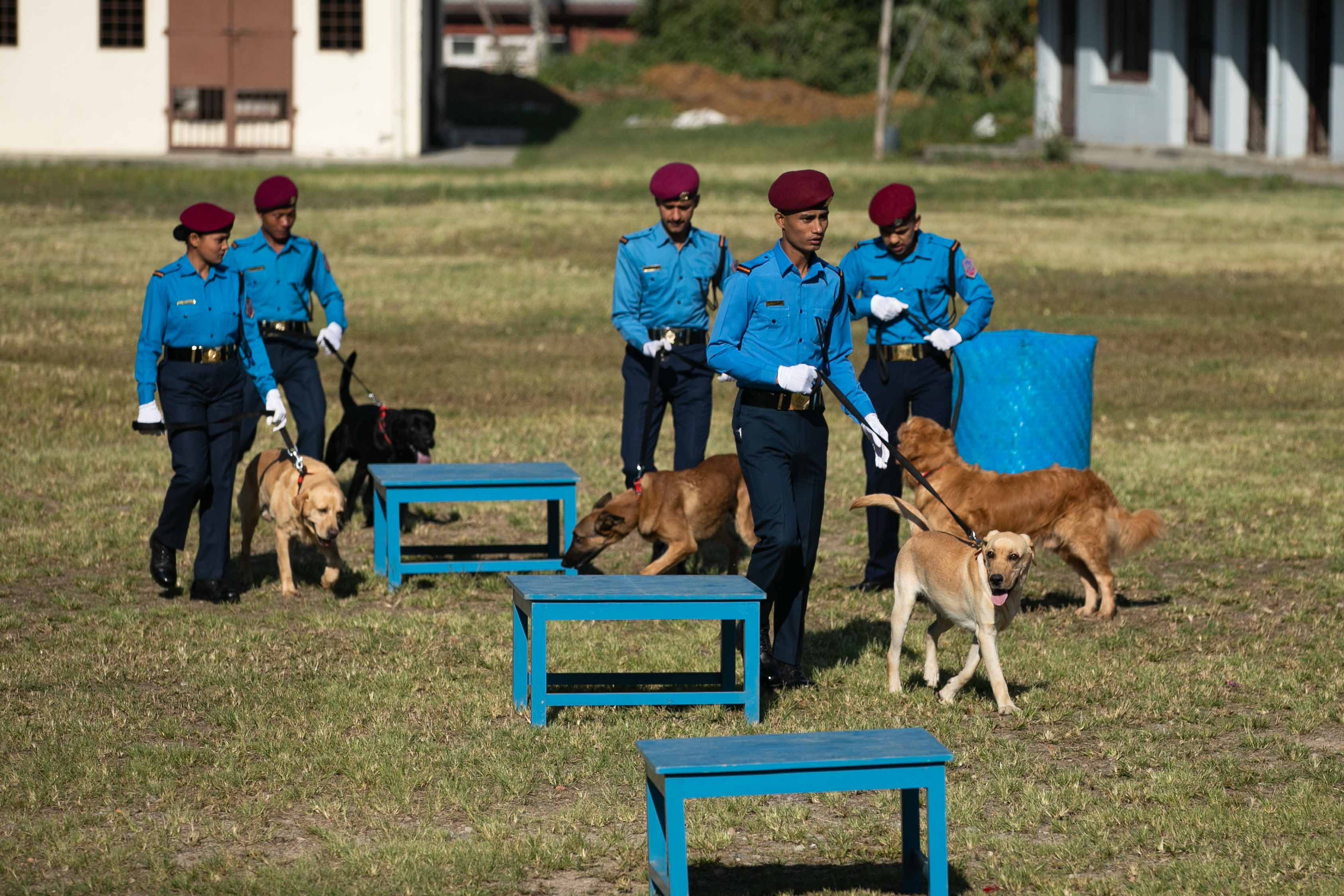 Nepal police dog festival-Nepal Photo Library  (8)1666603834.JPG